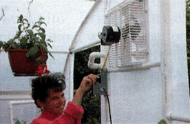 greenhouse cooling